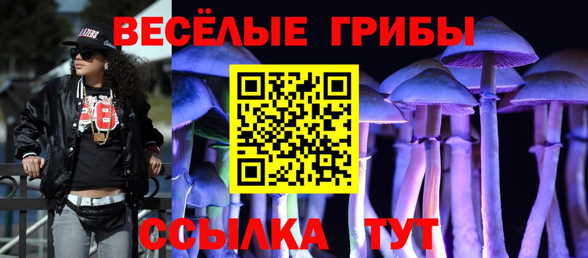 Псилоцибиновые грибы GOLDEN TEACHER Щёкино