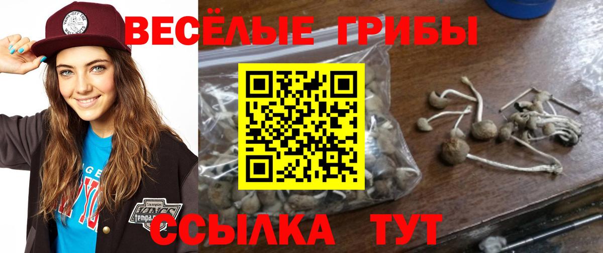 Псилоцибиновые грибы GOLDEN TEACHER  Вход с VPN  Щёкино 